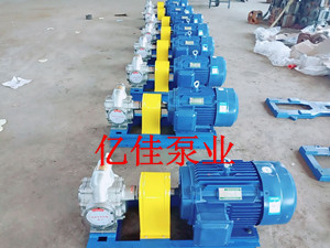 不锈钢齿轮泵次开机使用应注意什么?